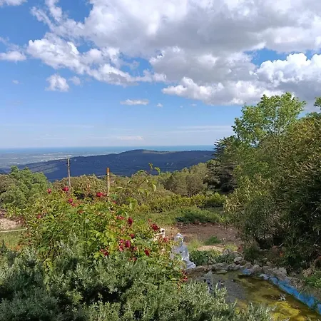 Cor De Prades 3*